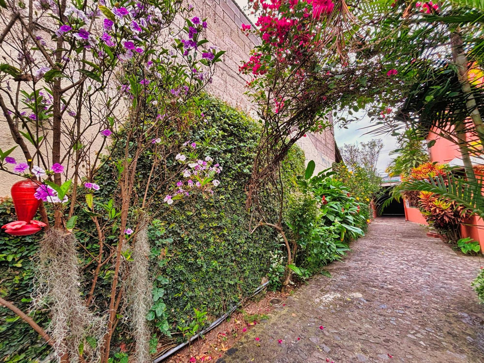 Alana Hotel By Ish Antigua Exterior foto
